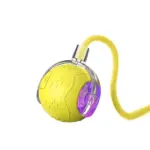 Smart Rolling Ball Toy for Cats & Dogs – Interactive, Anti-Boredom & Rechargeable - Image 13