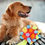 Dog Chew Toy Balls