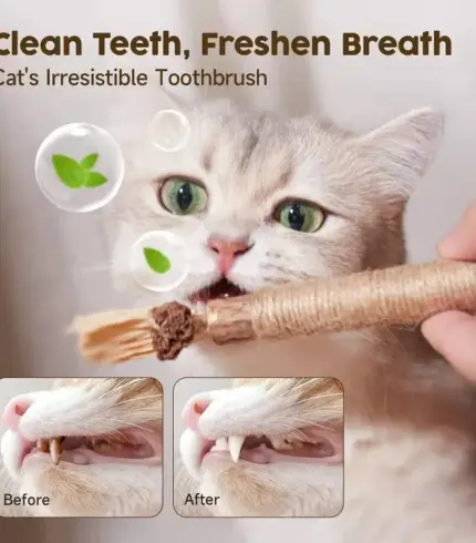 Natural Silvervine Stick Cat Chew Toy