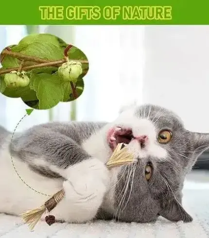 Natural Silvervine Stick Cat Chew Toy