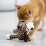 Plush Dog Toys Corduroy
