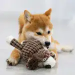 Plush Dog Toys Corduroy