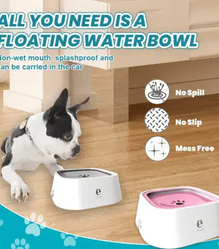 Dog Water Bowl