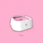 Dog Water Bowl