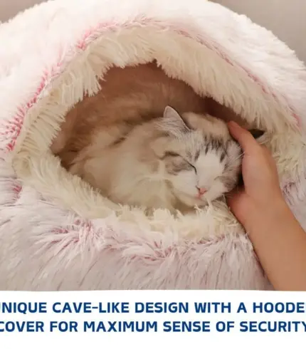Kipotek Pet Bed
