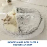 Kipotek Pet Bed
