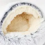 Kipotek Pet Bed