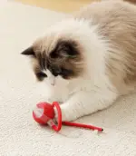 Smart Rolling Ball Toy for Cats & Dogs – Interactive, Anti-Boredom & Rechargeable - Image 7