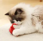 Smart Rolling Ball Toy for Cats & Dogs – Interactive, Anti-Boredom & Rechargeable - Image 8