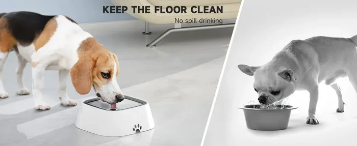 Pet water bowl