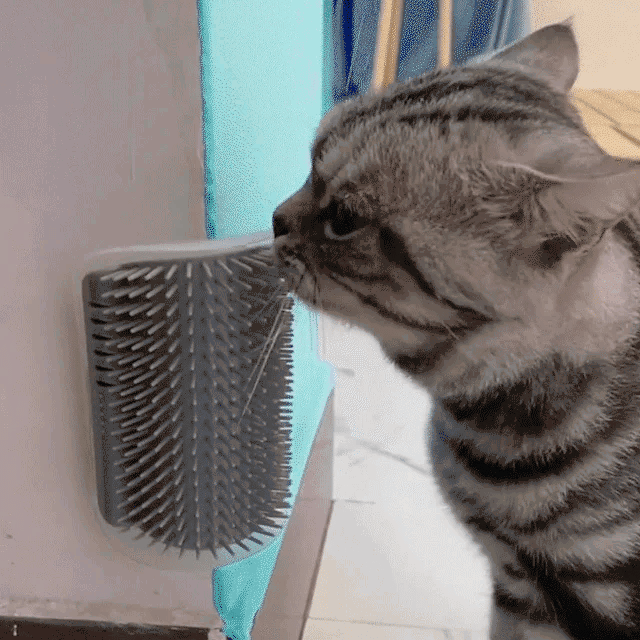 Wall Corner Massage Brush