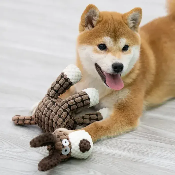 Durable Plush Toy for Dogs