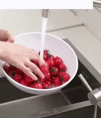 Food Cleaning Device