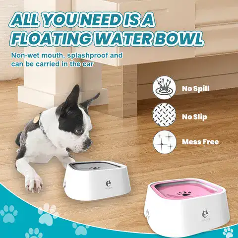 Pet water bowl feature