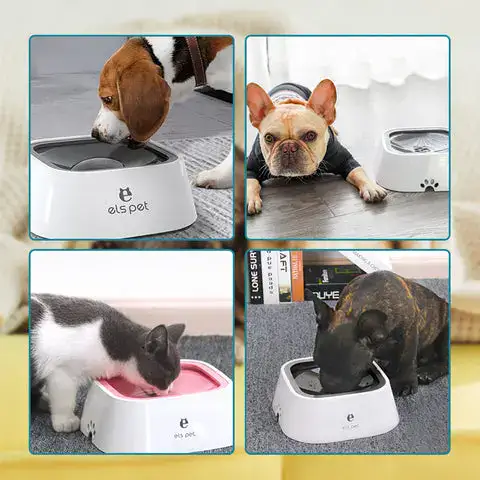 Pet drinking comfortably