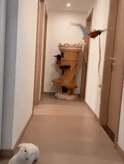 Realistic bird toy