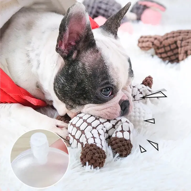 Dog Chewing for Oral Care
