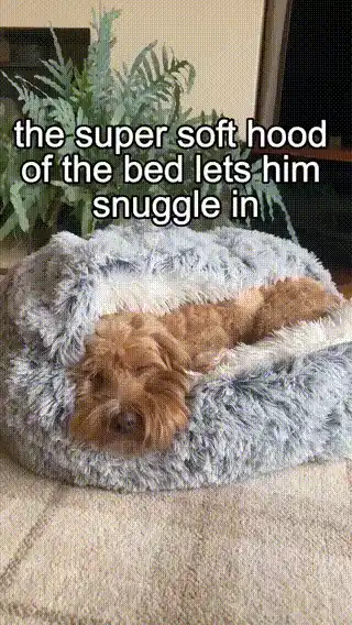 Pet bed with plush fabric