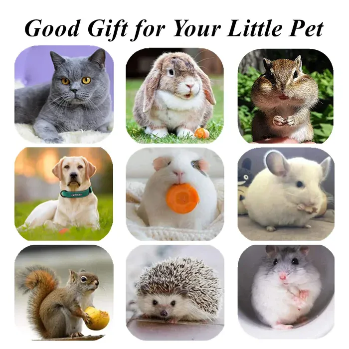 Pet relaxation