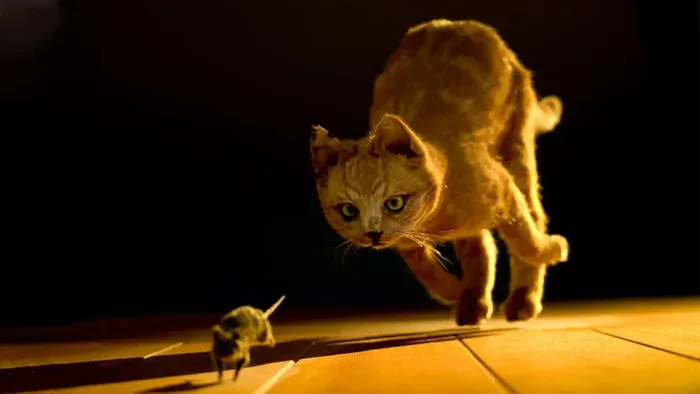 Cat enjoying the toy