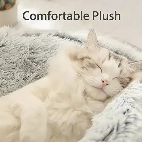 Comfortable pet nesting